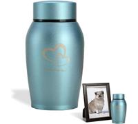 QESSUVNC Ashes Keepsake Urns - Adult & Pet Urns for Ashes, Stainless Steel, Waterproof, Small