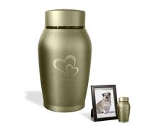 QESSUVNC Ashes Urn Ashes Keepsake Urns for Ashes Adult Small,Pet Urns for Dogs Ashes Cat Urns for Ashes UK Dog Urn,Small Urns for Human Ashes Stainless Steel Waterproof Cat Urn