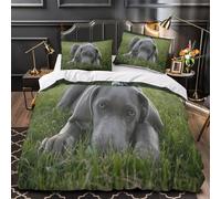 QEVAWPAE Gray Puppy Lying Comforter Cover 3D Print Hotel Quality 3-Piece Bed Set Hidden Zipper Quilt Cover Extra Soft All Season for Adults Women Kids Girls Boys Teens Youth Super king（260x220cm）