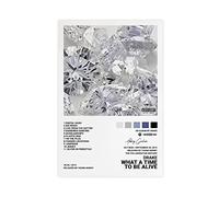 QEWRT Drake Posters What A Time To Be Alive Album Cover Wall Pictures Posters Wall Art Print Decor Canvas Posters for Room Aesthetic Unframe:16x24inch(40x60cm)