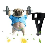 Qfdiwr Air Purifier for Car Suction Cup, Decorative Car Sport Scent, Dog Aromatherapy, Car Interior Decoration Original Shape for Adults