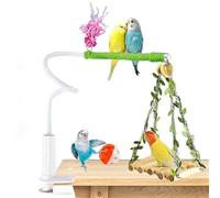 Qfdiwr Bird Cage Perches - Desk Training Pole - With Clamp And Folding Perch For Macaws, Canary, Finch, Lovebird, Hummingbird, Living Room, Garden, Pet Shop and Cage
