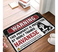 QGDC Indoor Welcome Door Mat | Warning This Property Is Protected By A Highly Trained Havanese - Bath Washable & Cool Room Decor For Guys/Bedroom Stuff - Personalized Door Mats For(50X80CM)