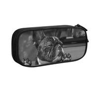 QGGHNISD French Bulldog Pencil Bag, Large Capacity Double Layer with Divider Stationery Bag,Zipper Cute Printed Cosmetic Bag for School Office Travelling