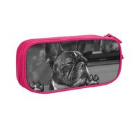 QGGHNISD French Bulldog Pencil Bag, Large Capacity Double Layer with Divider Stationery Bag,Zipper Cute Printed Cosmetic Bag for School Office Travelling