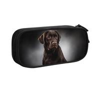 QGGHNISD Labrador Retriever Pencil Bag, Large Capacity Double Layer with Divider Stationery Bag,Zipper Cute Printed Cosmetic Bag for School Office Travelling