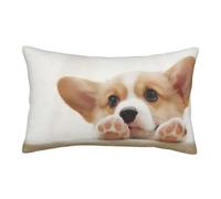 QGWDYYJQ Cute Corgi printed Pillow Case Throw Pillow Cover decorative Cushion Cover