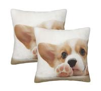 QGWDYYJQ Cute Corgi printed Square pillow Set of 2 Throw Pillow Cover