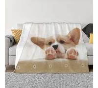 QGWDYYJQ Cute Corgi printed Ultra-Soft Micro Fleece Blanket throw blanket