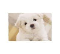 Qgwdyyjq Cute Maltese Puppy Printed Imitation Linen Placemat Table Mat