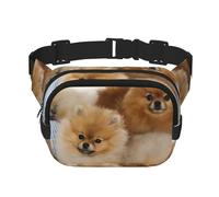 QGWDYYJQ Cute Pomeranian Printed Square Double Layer Waist Bag Waist Pack Travel Bag