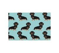 Qgwdyyjq Dachshund Weiner Pet Dogs Printed Imitation Linen Placemat Table Mat