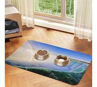 Qgwdyyjq Niagara Falls Printed Pet Absorbent Leather Tablecloth Non-Slip Placemat
