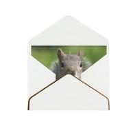 QGWDYYJQ Red Squirrel printed Greeting Card Thank You Card with Envelope Holiday Card