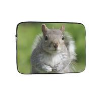 QGWDYYJQ Red Squirrel printed Laptop Case Laptop Bag Portable Computer Protective Bag