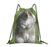 QGWDYYJQ Red Squirrel printed Large-sized casual drawstring backpack Drawstring Bag Gym Bag