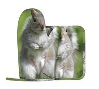 Qgwdyyjq Red Squirrel Printed Oven Mitts And Pot Holders Sets Kitchen Cooking Glove