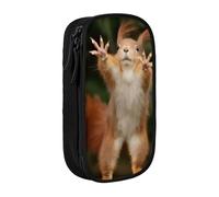 QGWDYYJQ Squirrel Funny Animal Printed Large Capacity Double Layer Pencil Case Stationery Case Portable Organiser