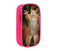 QGWDYYJQ Squirrel Funny Animal Printed Large Capacity Double Layer Pencil Case Stationery Case Portable Organiser