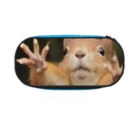 QGWDYYJQ Squirrel Funny Animal Printed Pencil Bag Stationery Organiser Portable Pencil Case