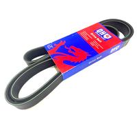 Quinton Hazell QBR6925 Drive Belt