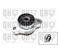 QH EMS8616 Suspension Arm Bush - Front Lower LH (Front)
