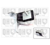 QH Engine Mounting - EM3167