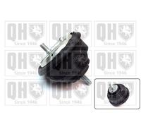 QH Engine Mounting - EM4077