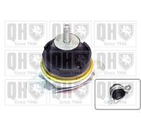 QH Engine Mounting - EM4219
