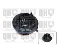Strut Anti Friction Bearing Front QAM169 Quinton Hazell Mount Suspension 1428597