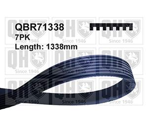 QH Multi-ribbed belt - QBR71338