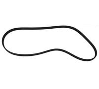 5 Rib Multi V Drive Belt QBR51163 Quinton Hazell 079903137S 11281715636 5PK1160