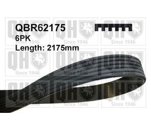 QH QBR62175 V-Ribbed Belt Engine Belt Drive Replace Fits Ford Mercedes-Benz VW