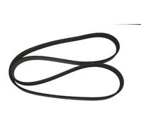 QUINTON HAZELL QBR62463 Serpentine belt