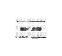 QH QTS828224 Gas Spring