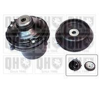 QH Repair Kit Suspension Strut with Anti-Friction Bearing - EMA1841