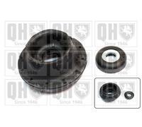 QH Repair Kit Suspension Strut with Anti-Friction Bearing - EMA1891