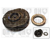 QH Repair Kit Suspension Strut with Anti-Friction Bearing - EMA3192