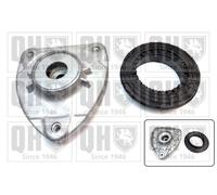 QH Repair Kit Suspension Strut with Anti-Friction Bearing - EMA4933