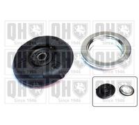 QH Repair Kit Suspension Strut with Anti-Friction Bearing - EMA4988