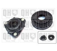 QH Repair Kit Suspension Strut with Anti-Friction Bearing - EMA6123