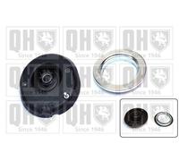 QH Repair Kit Suspension Strut with Anti-Friction Bearing - EMA6128