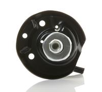 QH Suspension Strut Shock Absorber - Front Axle - QAG178991