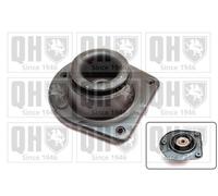 QH Top Strut Mounting with Anti-Friction Bearing - EMA5039
