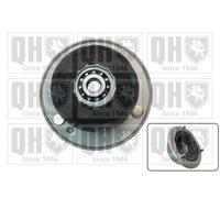 QH Top Strut Mounting with Anti-Friction Bearing - EMA6012