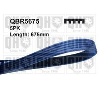 QH V-Ribbed Drive Belt - QBR5675