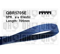 QH V-Ribbed Drive Belt - QBR5705E