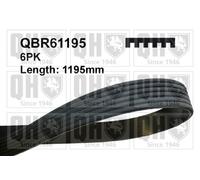 QH V-Ribbed Drive Belt - QBR61195