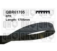 QH V-Ribbed Drive Belt - QBR61705