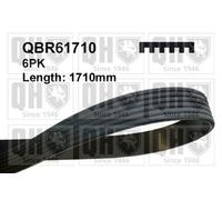 QH V-Ribbed Drive Belt - QBR61710